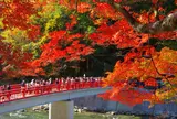 香嵐渓