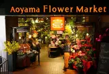 青山フラワーマーケット ティーハウス 南青山本店 （Aoyama Flower Market TEA HOUSE）