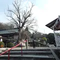吉備津神社の写真_125394