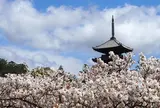真言宗御室派総本山 仁和寺（世界遺産）