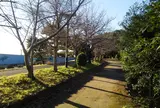 新木場緑道公園