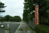 東京臨海広域防災公園
