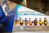 Penguin Parade Visitor Centre