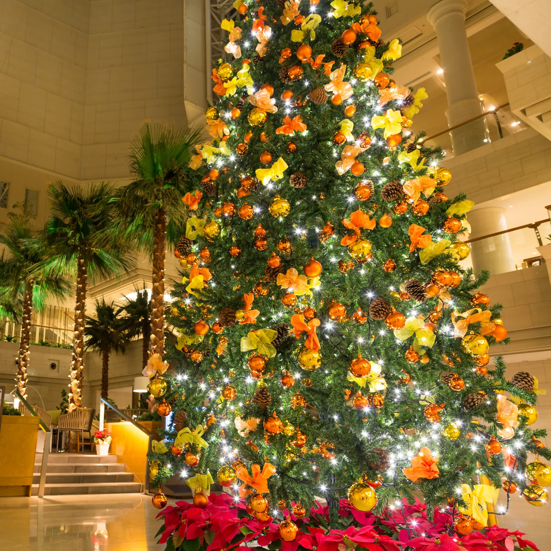 シーガイアのクリスマス 高さ約５ｍのツリーや壮大なイルミネーションなど Holiday ホリデー