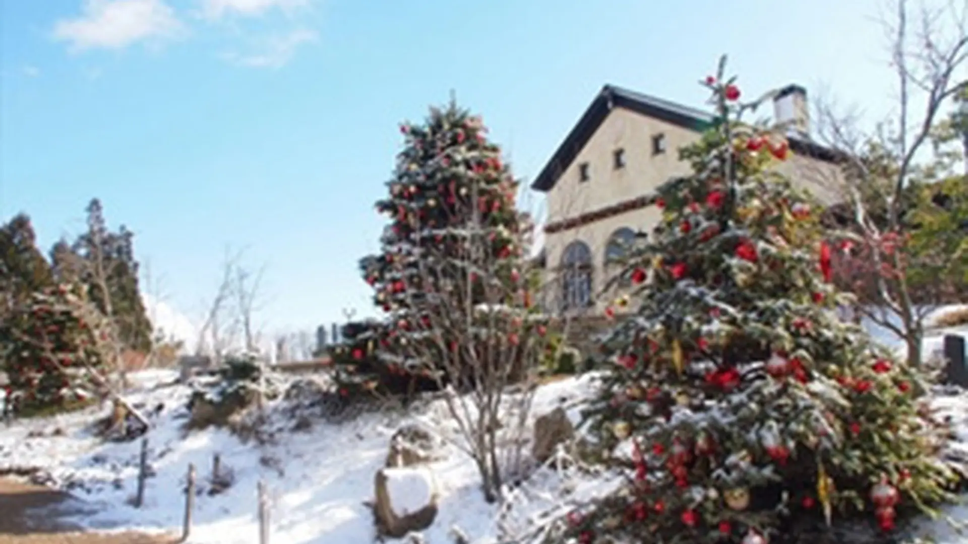 ヨーロッパの雰囲気と1000万ドルの夜景を楽しむ 六甲ガーデンテラスのクリスマス 開催 Holiday ホリデー