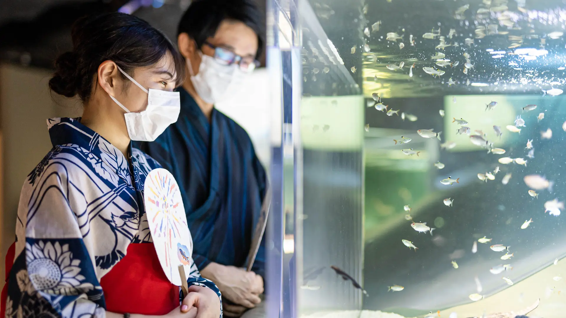 花火模様の魚の展示に縁日ゲームに限定ドリンク カワスイ 川崎水族館 で夏祭りイベント開催 Holiday ホリデー