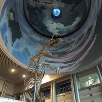 神奈川県立生命の星・地球博物館の写真・動画_image_100016