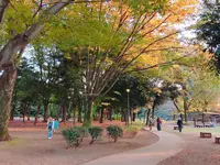 和田堀公園の写真・動画_image_100117