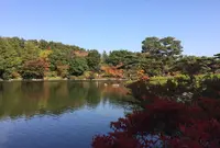 国営昭和記念公園の写真・動画_image_100516