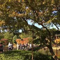 国営昭和記念公園の写真・動画_image_100517