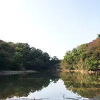 篠田砂防池の写真・動画_image_100602