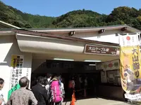 大山ケーブルカーの写真・動画_image_100640