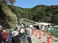 大山ケーブルカーの写真・動画_image_100642