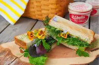 COMMUNE 2nd (旧COMMUNE246)の写真・動画_image_100698