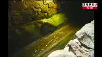 太閤（背割）下水の写真・動画_image_100993