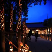 菊池神社の写真・動画_image_101576