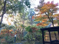 うぐいす谷温泉 竹の葉の写真・動画_image_102524