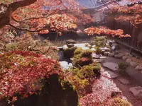 百済寺の写真・動画_image_102860