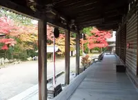 西明寺の写真・動画_image_103122