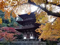 西明寺の写真・動画_image_104685
