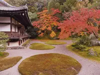 醍醐寺三宝院の写真・動画_image_104718