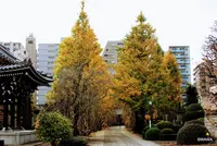 吉祥寺の写真・動画_image_105090