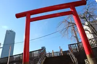 住吉神社の写真・動画_image_105755