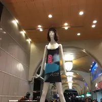 笹島からナナちゃんの写真・動画_image_106176