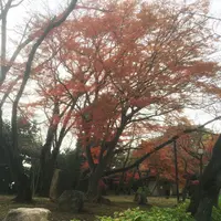 真間山弘法寺の写真・動画_image_106624