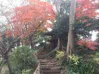 真間山弘法寺の写真・動画_image_106625