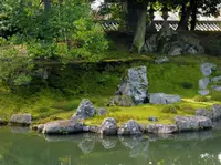 醍醐寺三宝院の写真・動画_image_108336