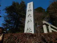 椿大神社の写真・動画_image_109906