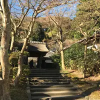 円覚寺の写真・動画_image_110086