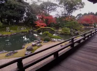 醍醐寺三宝院の写真・動画_image_110253