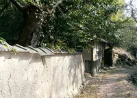廣峯神社の写真・動画_image_111006