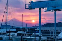 Ron Herman Cafe 逗子マリーナ店/ロンハーマンカフェの写真・動画_image_111270
