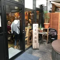 【閉業】たまな食堂の写真・動画_image_111515