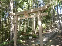 石上布都魂神社の写真・動画_image_112003