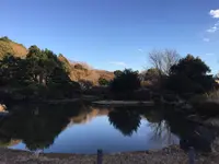小石川植物園の写真・動画_image_113663