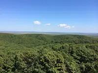 釧路湿原の写真・動画_image_114670