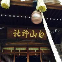 白山神社の写真・動画_image_114954