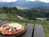 Pizzeria 櫟の丘の写真・動画_image_115744