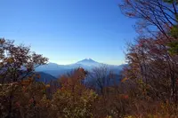 八重山の写真・動画_image_116826