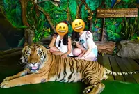The Samutprakarn Crocodile Farm & Zoo Co.,Ltd.の写真・動画_image_116916
