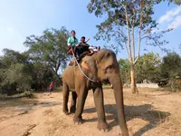 Wangpo Elephant Campの写真・動画_image_117000