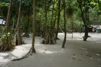 Phi Phi Islandsの写真・動画_image_117076