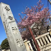 今戸神社の写真・動画_image_117156
