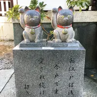 今戸神社の写真・動画_image_117157