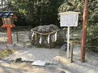 下鴨神社（賀茂御祖神社）の写真・動画_image_117384