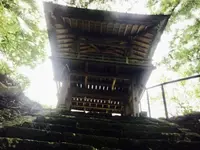青苔寺の写真・動画_image_117744